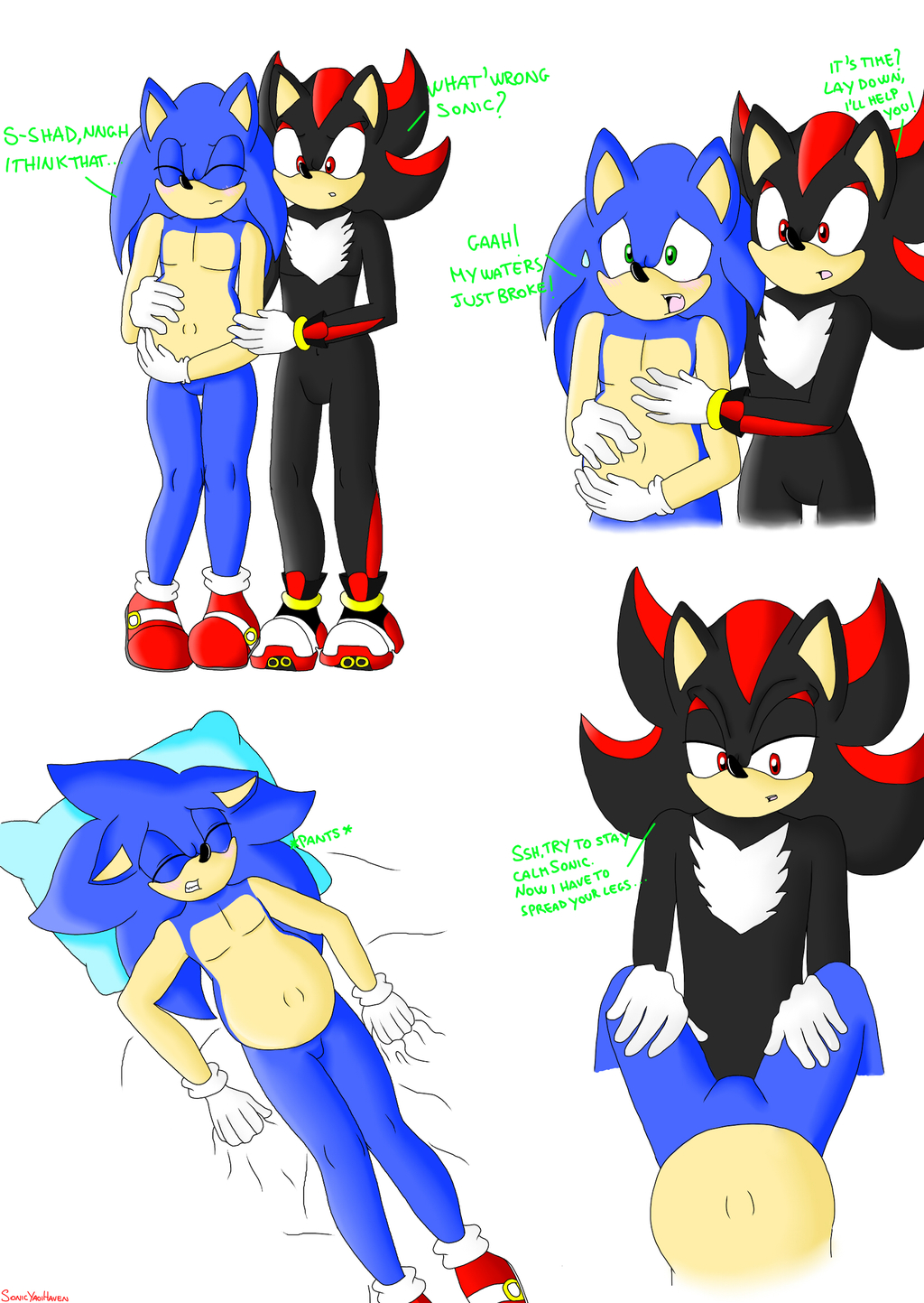 I wanted to draw some Sonadow mpreg!It's time for Sonic to give bir...