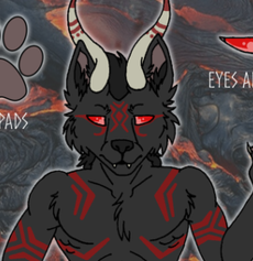 Commission - Sanguis Umbra Reference