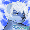 avatar of Bacent