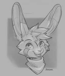 Bunny head sketch