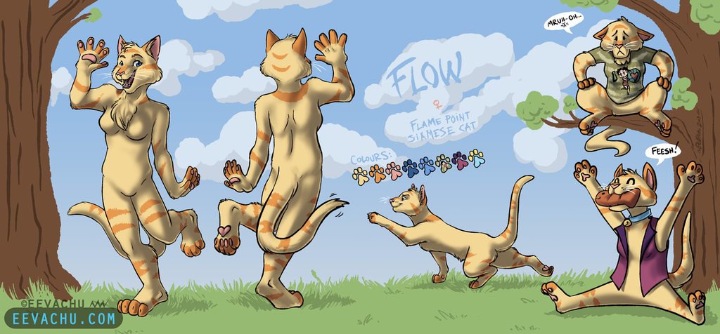 Flow Reference Sheet