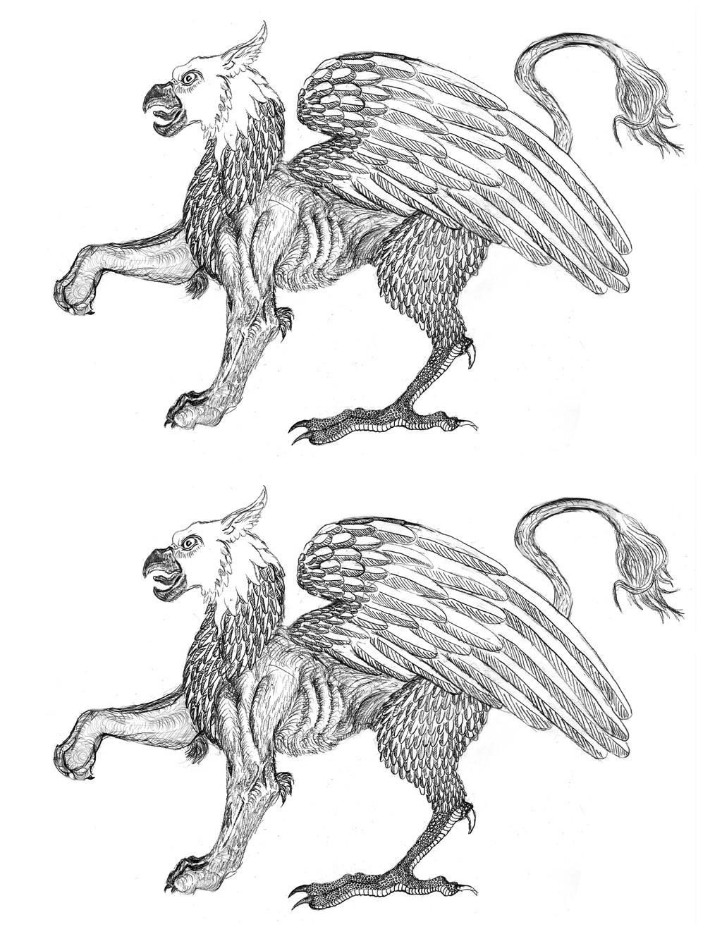 Most recent image: Gryphon