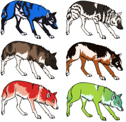 Wolf adopts - 1/6 available