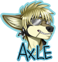 Axle Badge