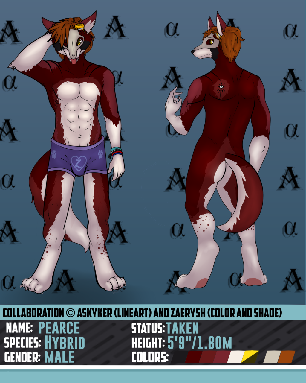 Askyker Reference Sheet Collab