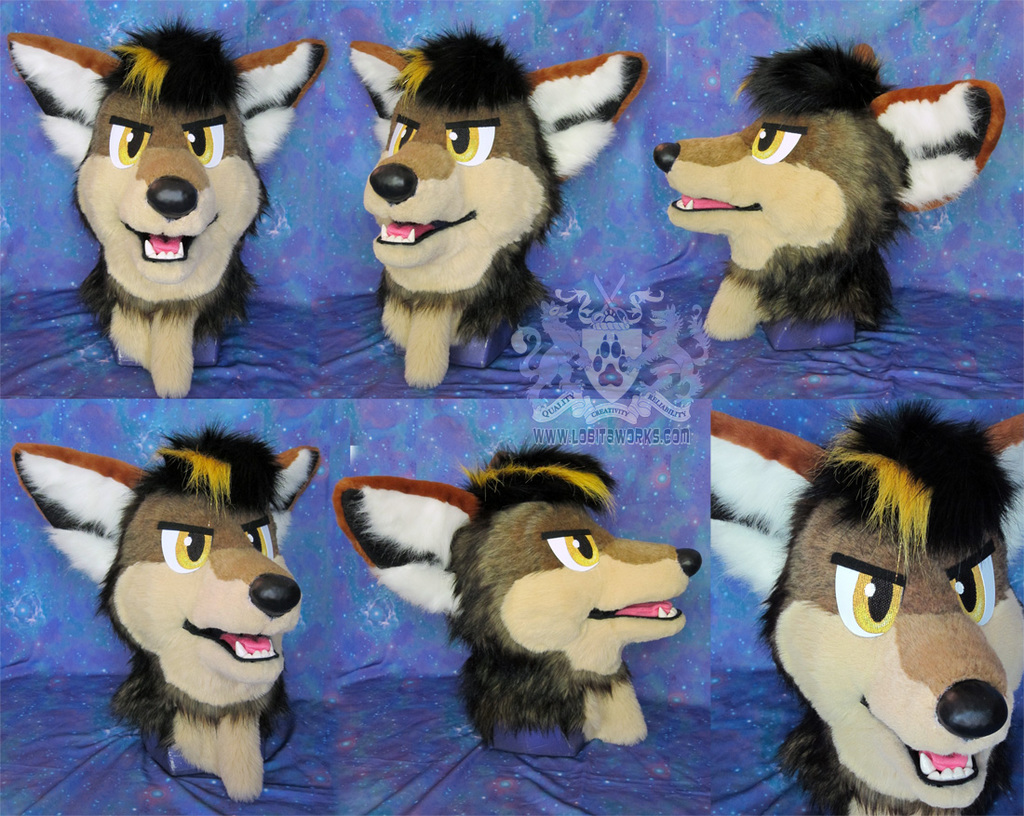 Coyote/Red Wolf Refurbed Head for Auction