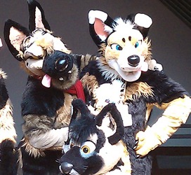 Sheppy Tongues! AC2010