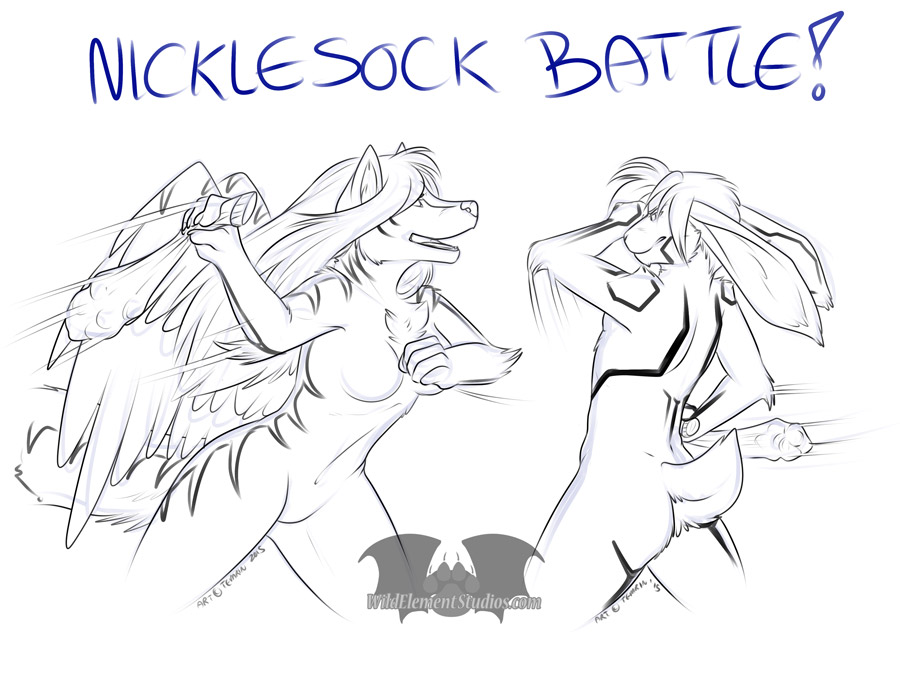 [HomeCon][C] - Nicklesock Battle