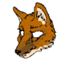 avatar of noxbird