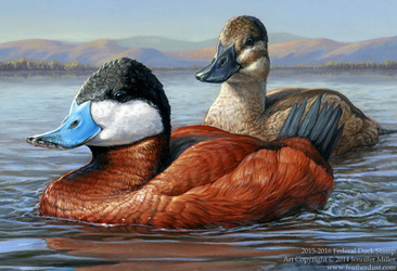 2015-2016 Federal Duck Stamp