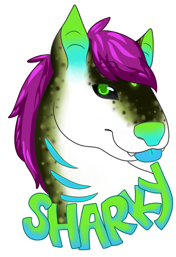 Most recent image: Sharky Badge FC2016
