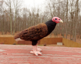 Blue-Eyed Turkey Vulture Art Doll