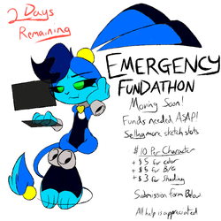 Emergency Fundathon - 2 Days Remaining