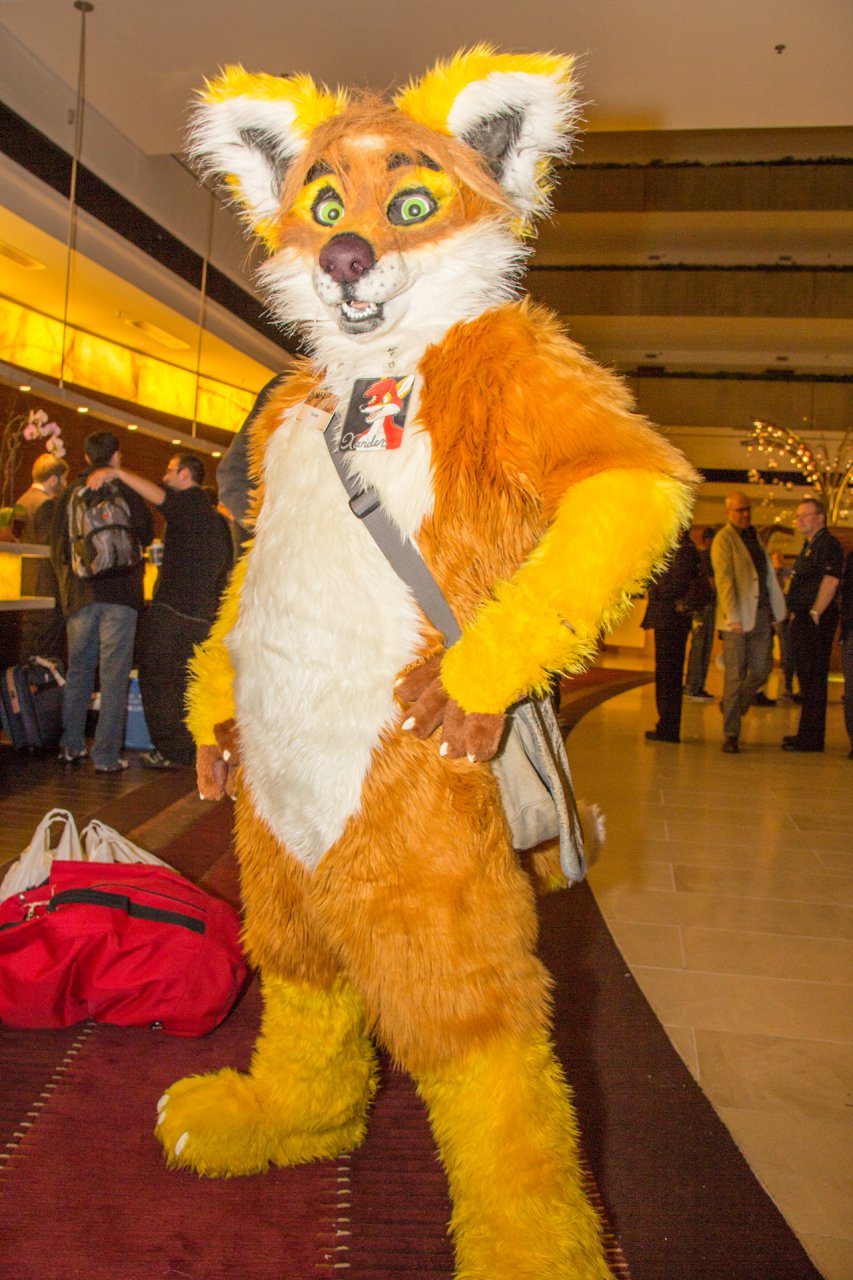 Welcome To MFF - MFF 2013