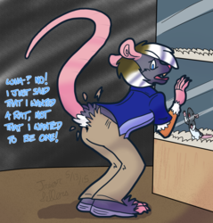PetSmart Rat Transformation!