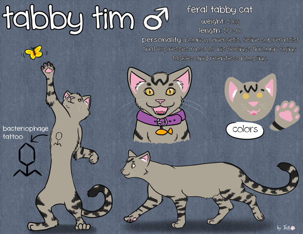 Commission: Ref sheet for Tabby Tim