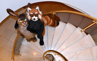 Staircase Furs