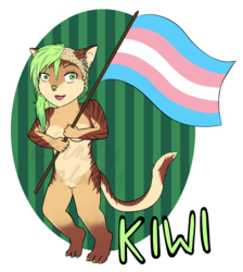 Kiwi - Pride Chibi