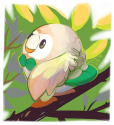 Rowlet Sees You!