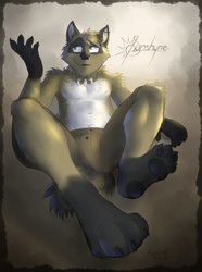 Coon Paws! (gift by GothWolf)