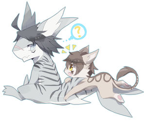 Shark and a cat