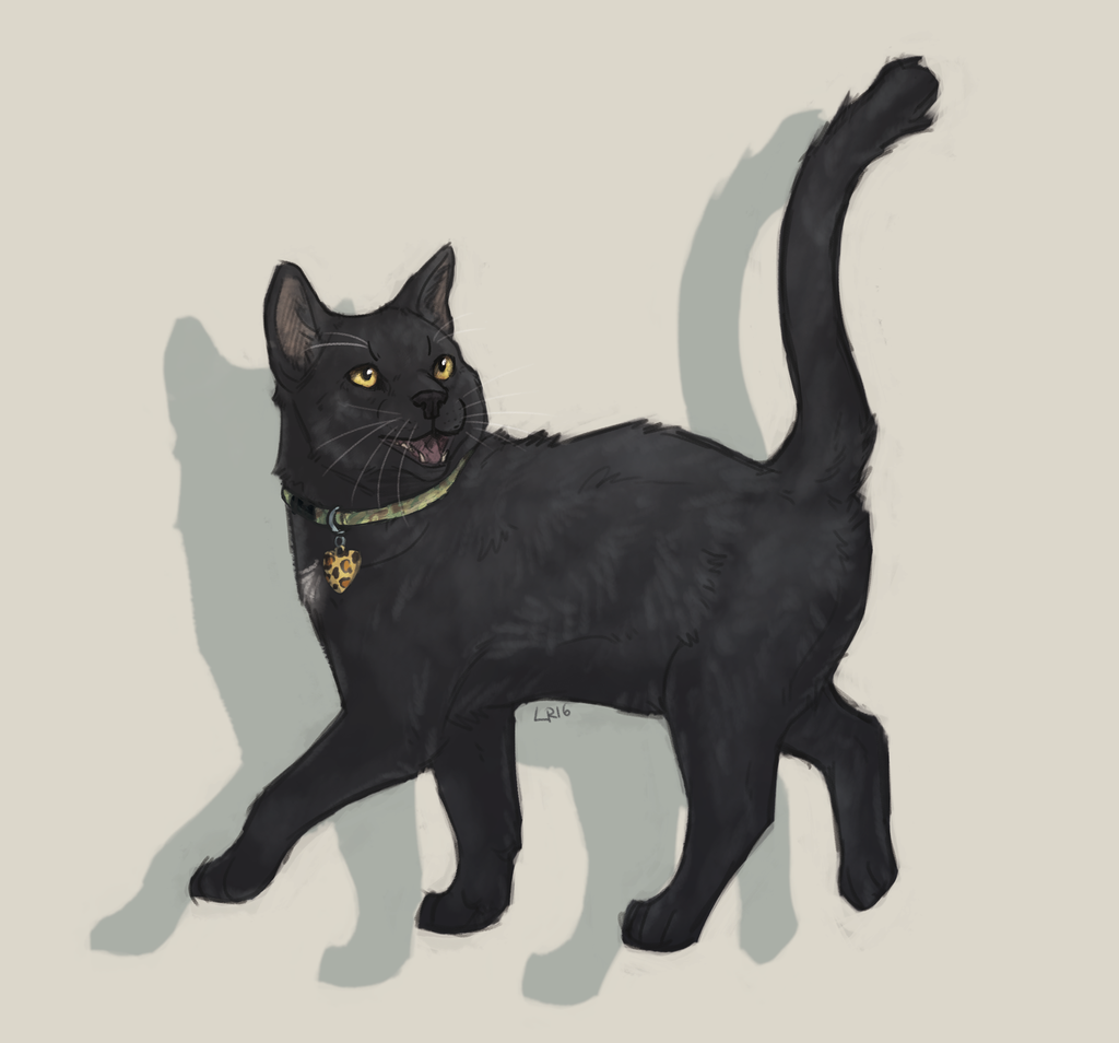 Severus Cat