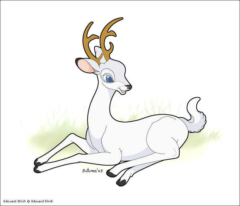 036 Feral Deer