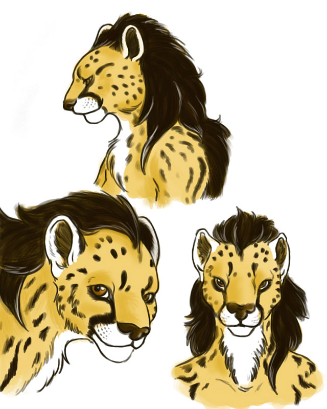 Featured image: Regina, Queen Cheetah