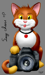 [Cat Month] Say Cheese :P (12/31)