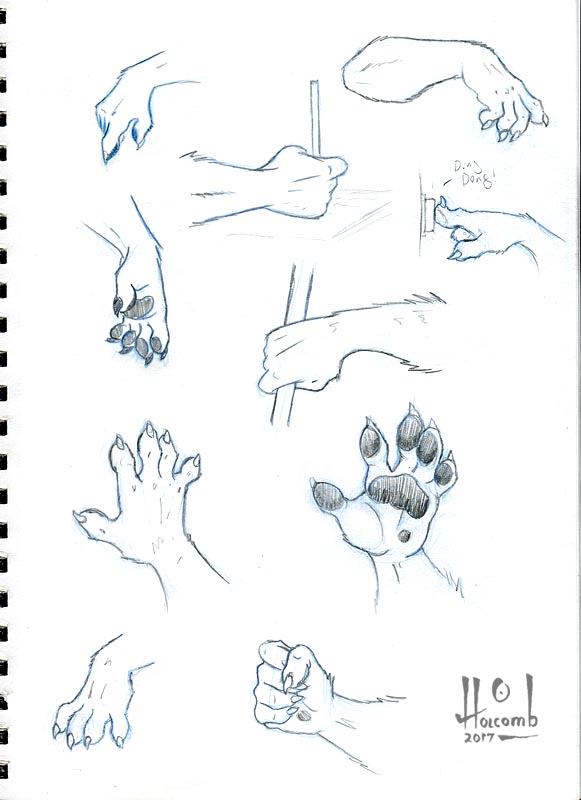 Hand Study — Weasyl