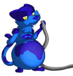 Blueberry cat (facebook free art)
