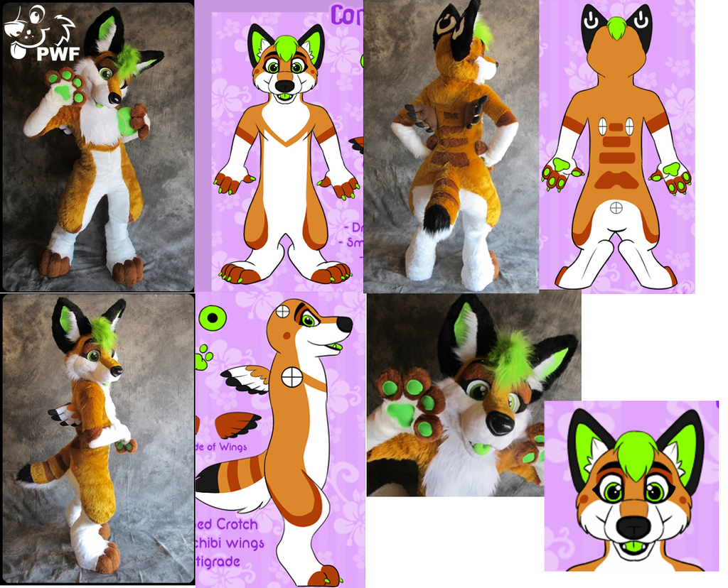 From Concept Art, to Fursuit