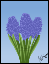 Hyacinths birthday card