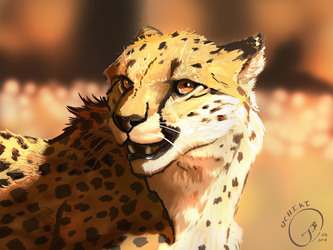 Another cheetah