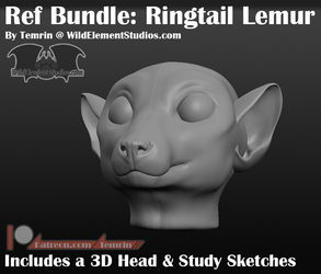 Art Ref: 3D Ringtail Lemur Head Model
