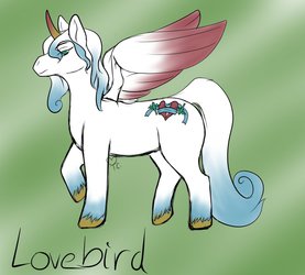 Lovebird Pony?