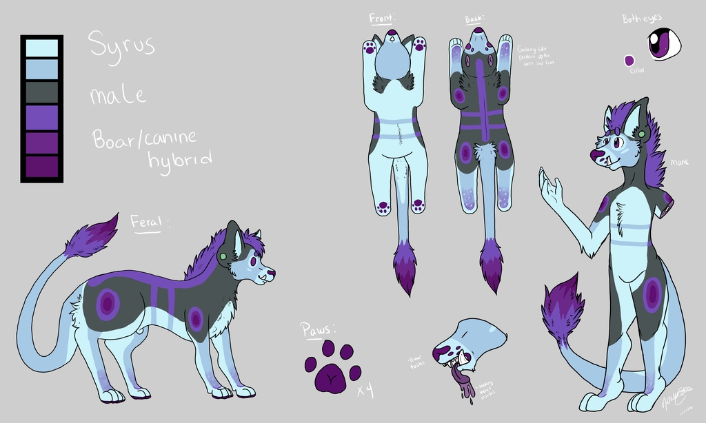 Syrus Reference Sheet