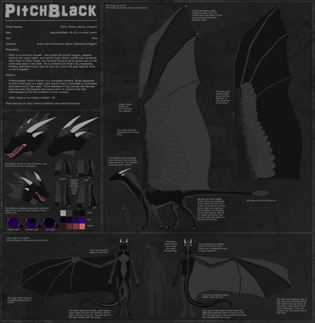 Most recent image: Reference Sheet: Pitchy