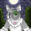 Avatar for DuskWolfdog64