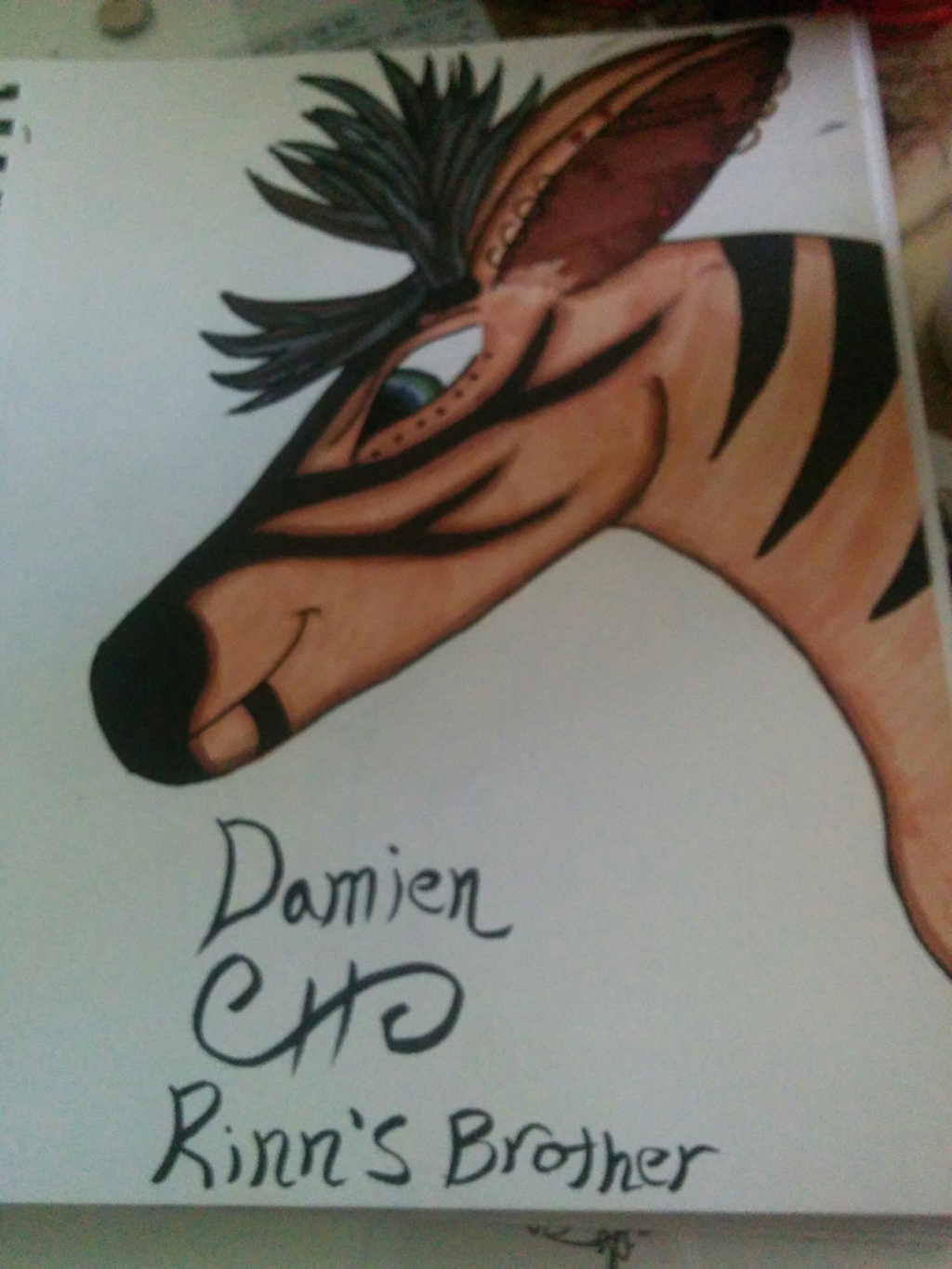 Most recent image: Damien: Rinn's brother