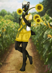 "Sunflower Harvest"
