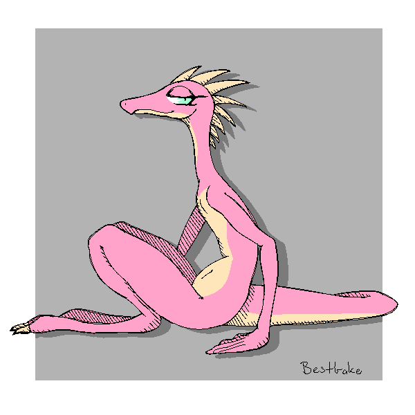 Pink Lizard