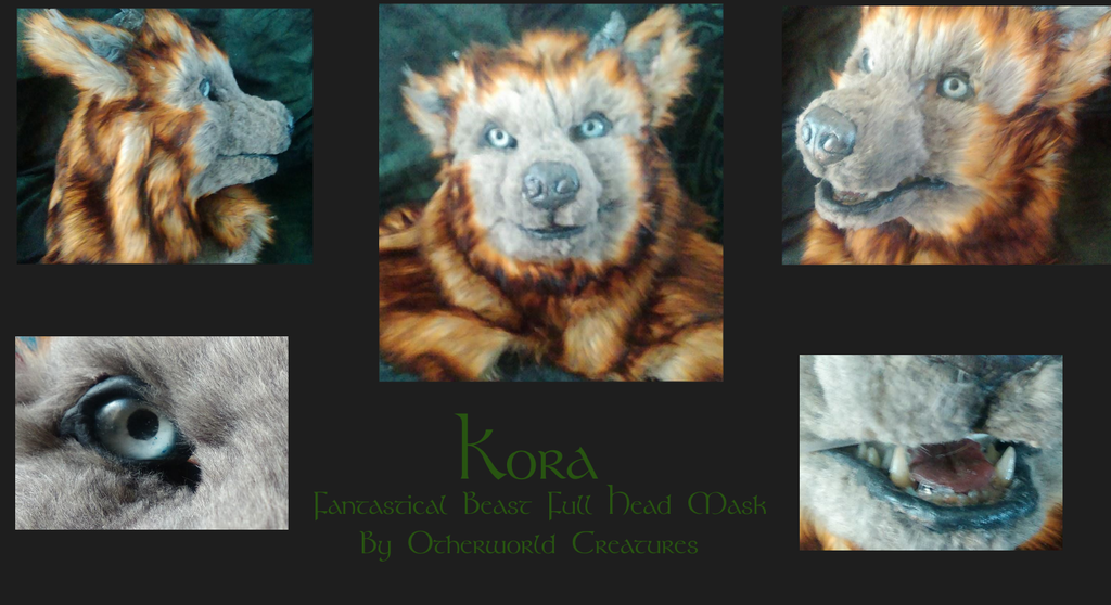 Kora the Beast