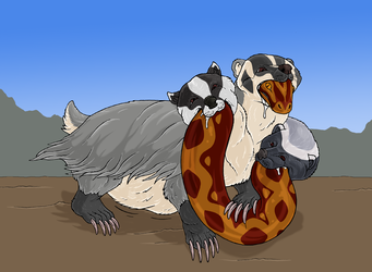 Cerbadgerus and snake