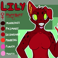 Lily Reference