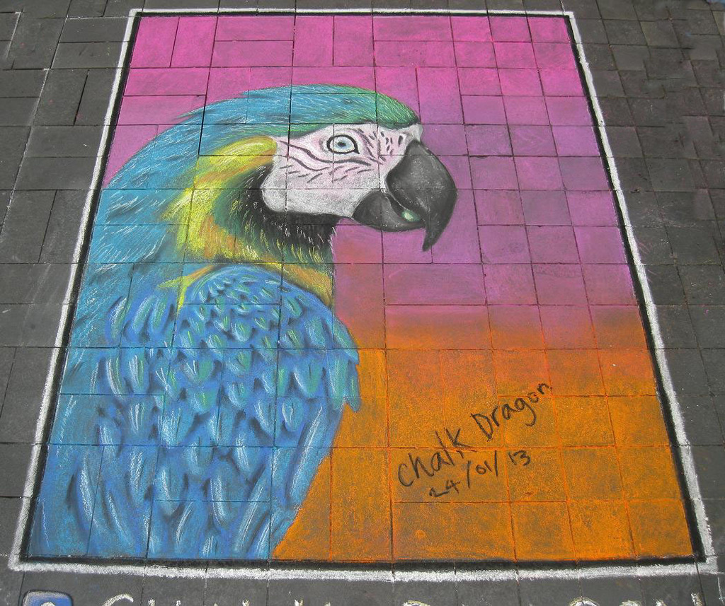 chalk art - macaw