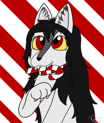 Shadow's Candy Cane Treat
