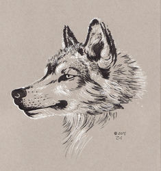 Wolf/Inktober 1