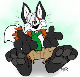 Foxies just want to have hugs!