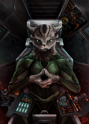 [C] Grumpy Cat in Space